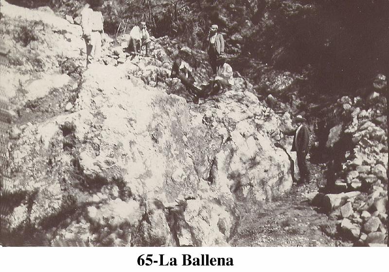065-LaBallena.jpg
