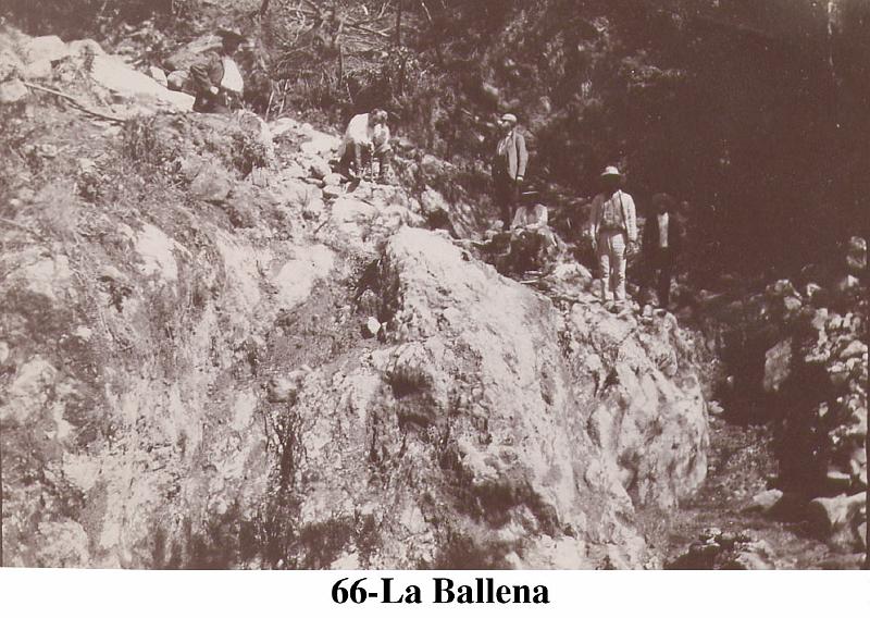 066-LaBallena.jpg