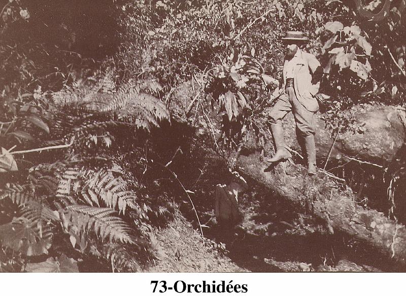 073-Orchidees.jpg