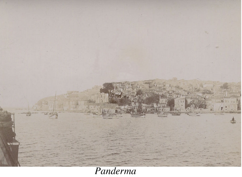 67-Panderma1.jpg