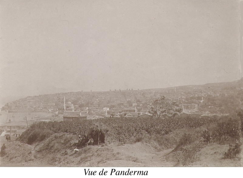 68-Panderma2.jpg