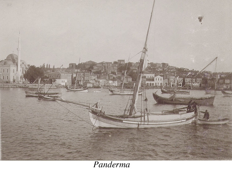 70-Panderma4.jpg